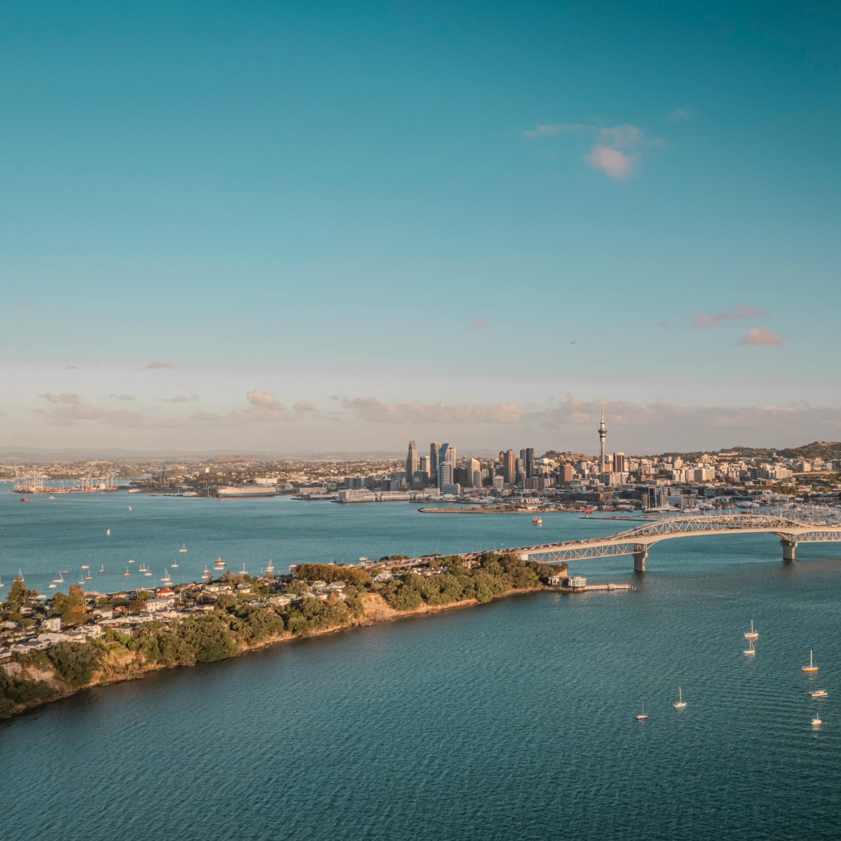 virtual-marketers-web-design-in-auckland-your-complete-guide