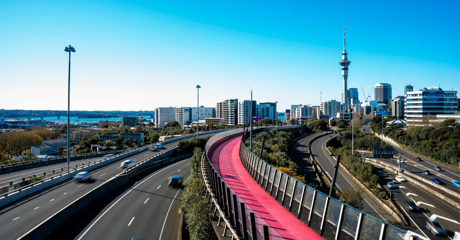 Auckland photo