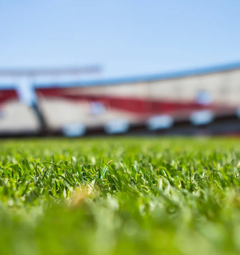 Sports field